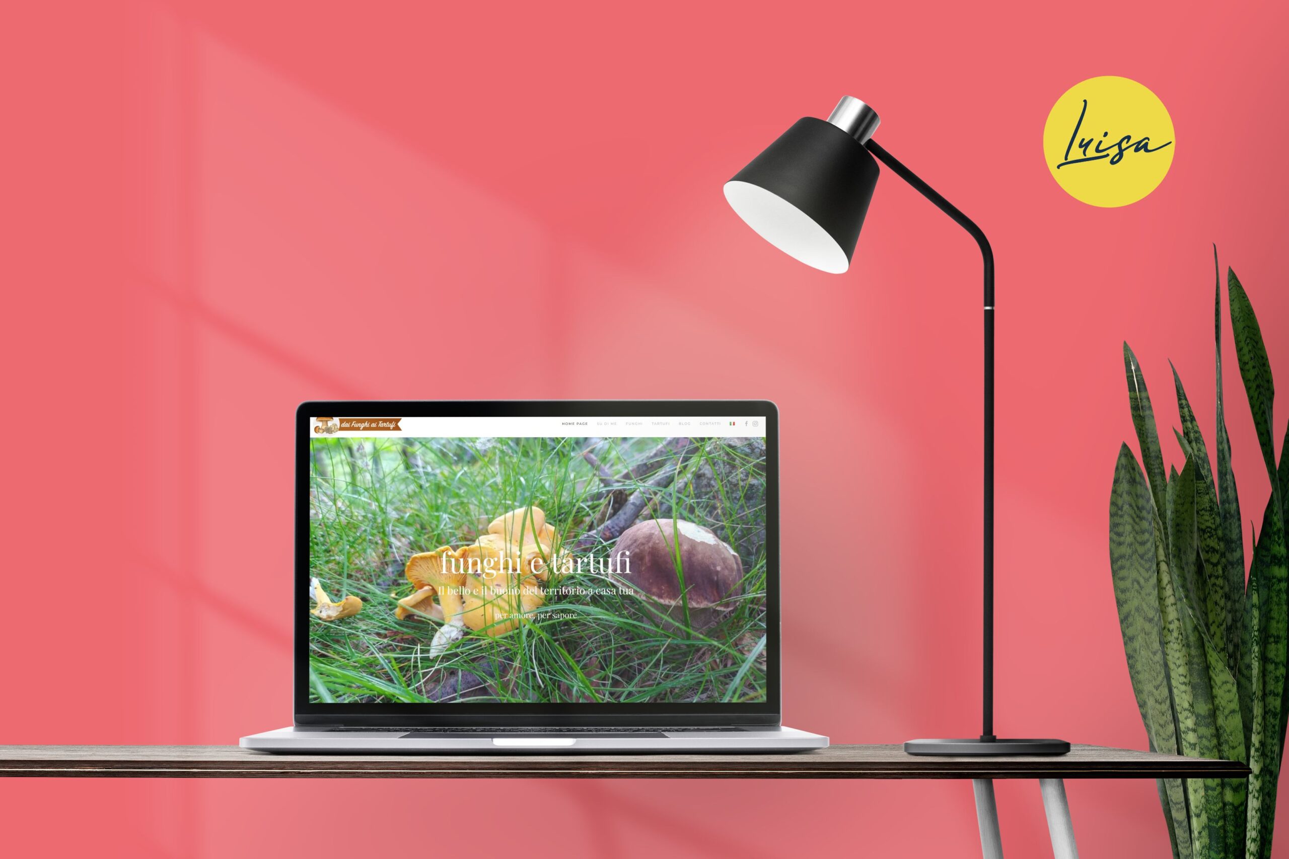 Portfolio Dai Funghi ai Tartufi