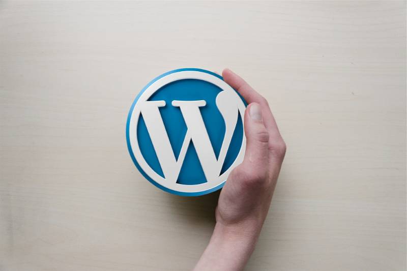 I Migliori template Per Wordpress Luisa Fassino